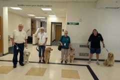 2025.CampVIA.LefttoRightNIK.ANNIE_.CAOIMHE.GINGER.A-Golden-Visit