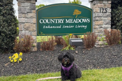 2026.CountryMeadowsEaston.BAILEY