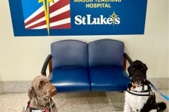 2026.StLukes.ENZO_.GINO