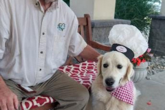 2023.Paws-ta-Dinner.NIK