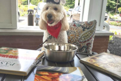 2023.Paws-ta-Dinner.WINNIE