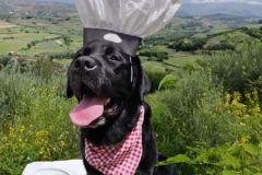 2023.Paws-taDinner.BARKLEY