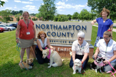 2019.NorthamptonCountyChildrenYouthFamilyDivision.BRITTANY.HANNAH.MrPEABODY.BELLA