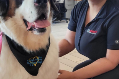 2024.7.6.BennettToyota.ABBEY