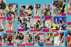 24.3.20.Amazon.Easton.Collage