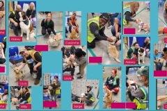 24.3.20.Amazon.Easton.Collage2