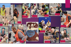 24.4.17.Amazon.ABE4_.Easton.AnnivCollage3