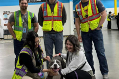 2024.4.7.Amazon.ABE2_.VIOLET