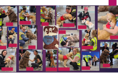 24.4.7.Amazon.ABE4Easton.AnnivCollage1