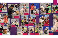 24.4.7.Amazon.ABE4Easton.AnnivCollage4