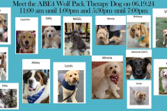 24.6.19.Amazon.Easton.Collage.Meet-the-Dogs