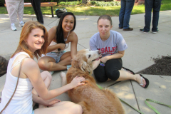DeSales University de-stress day