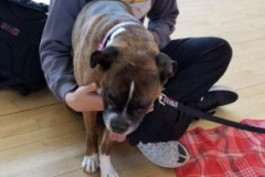 2019.4.KutztownU.Coco