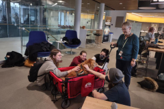 2023.12.8.Lafayette.WINDSOR