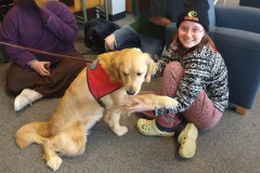 2024.3.19K.U.Neuro_.Aware_.CAOIMHE