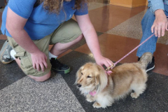 2024.4.25.Moravian.SANDY