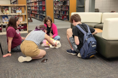 2025.5.K.U.RohrbachLib.LILLY_