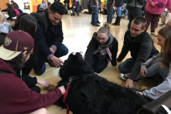 Duke.Kutztown.2018