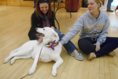 Kasha.Kutztown