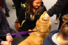 Mazie.Moravian
