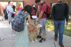 DeSales University de-stress day