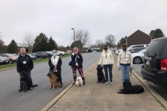 1_2021.4.ParklandCaresFoodBank.ZORA_.VAYL_.TATER_.BELLA_.ANNABELLE