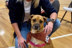 2020.10.NWLSD_.MiddleSch.DAISY