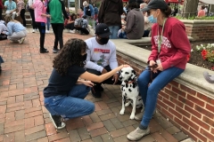 2021.5.MuhlenbergDeStress.ROXIE_.etal_