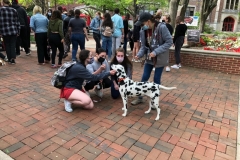 2021.5.MuhlenbergDeStress.ROXIE_